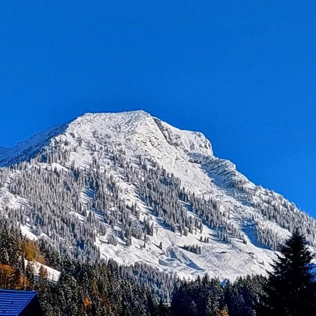 Haus Ortner Διαμέρισμα Russbach am Pass Gschutt Εξωτερικό φωτογραφία