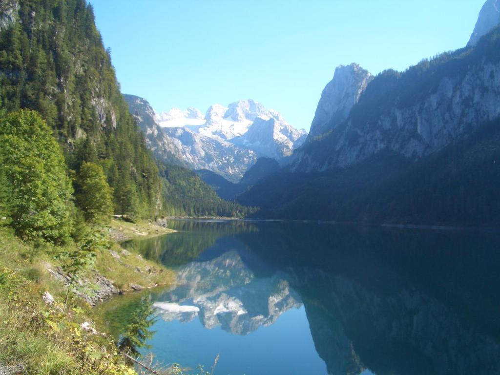 Haus Ortner Διαμέρισμα Russbach am Pass Gschutt Εξωτερικό φωτογραφία