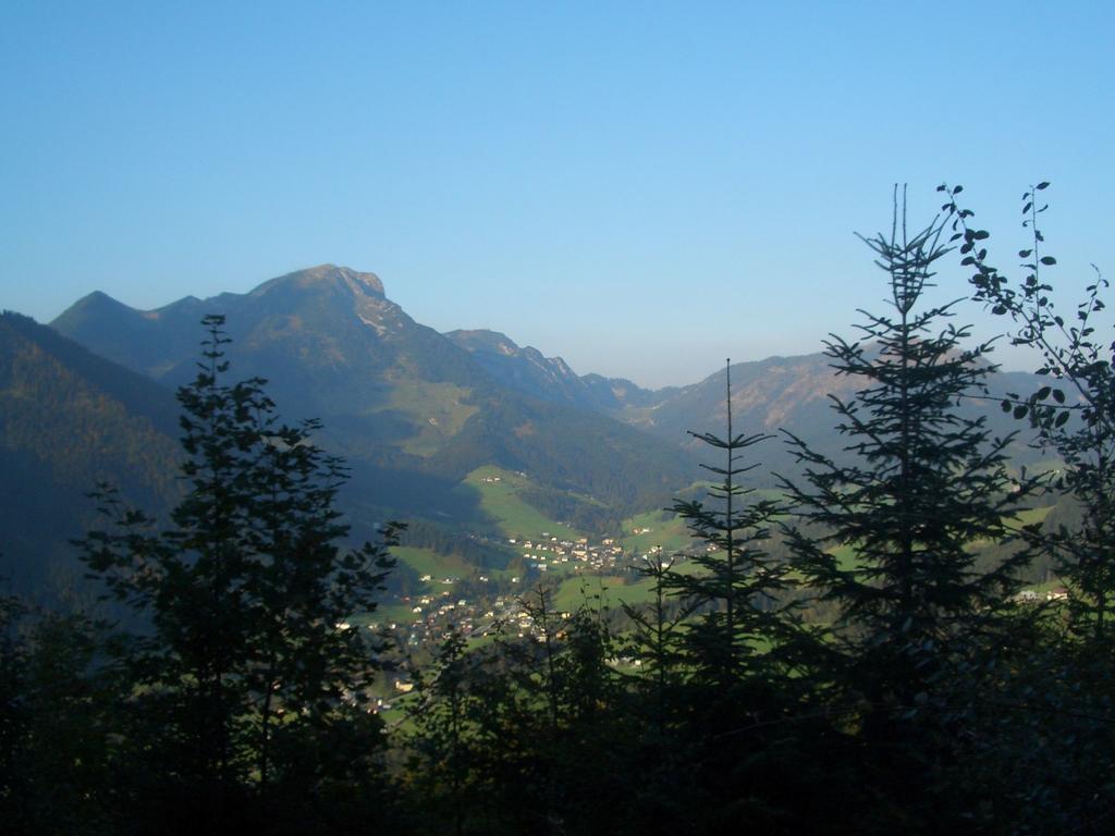 Haus Ortner Διαμέρισμα Russbach am Pass Gschutt Εξωτερικό φωτογραφία