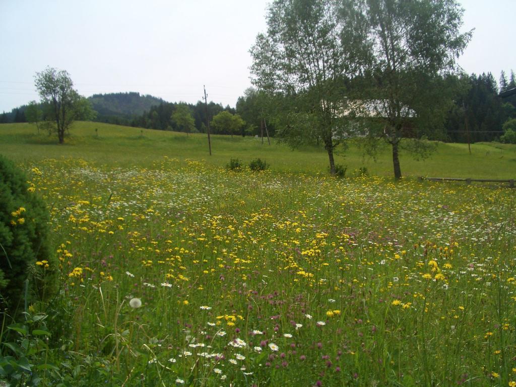 Haus Ortner Διαμέρισμα Russbach am Pass Gschutt Εξωτερικό φωτογραφία