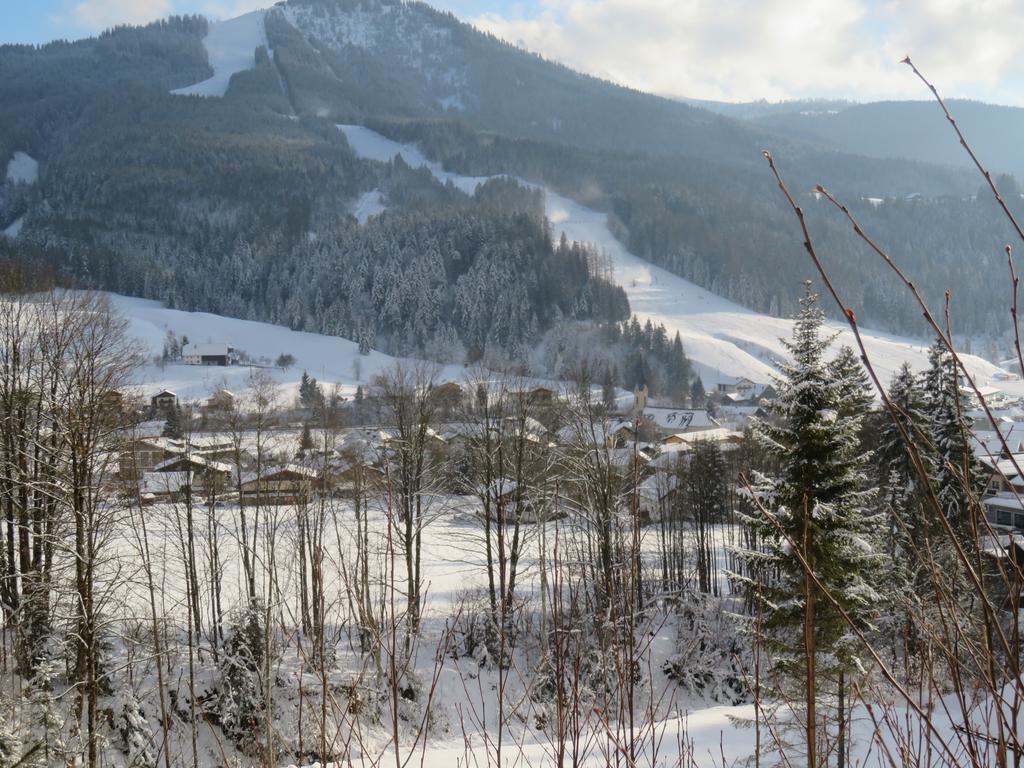 Haus Ortner Διαμέρισμα Russbach am Pass Gschutt Εξωτερικό φωτογραφία