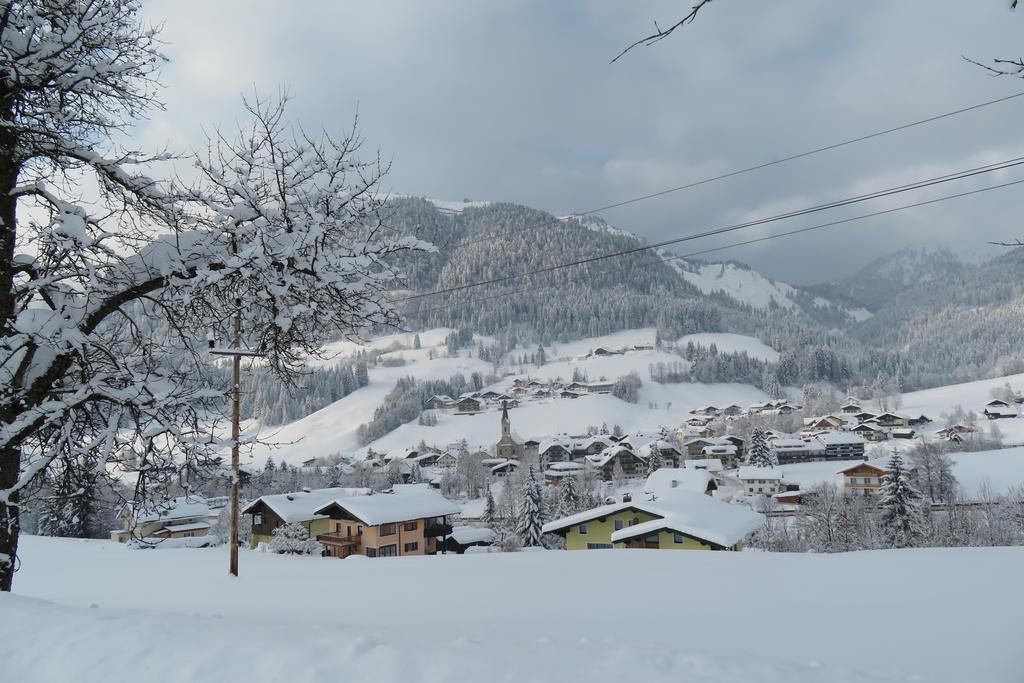 Haus Ortner Διαμέρισμα Russbach am Pass Gschutt Εξωτερικό φωτογραφία