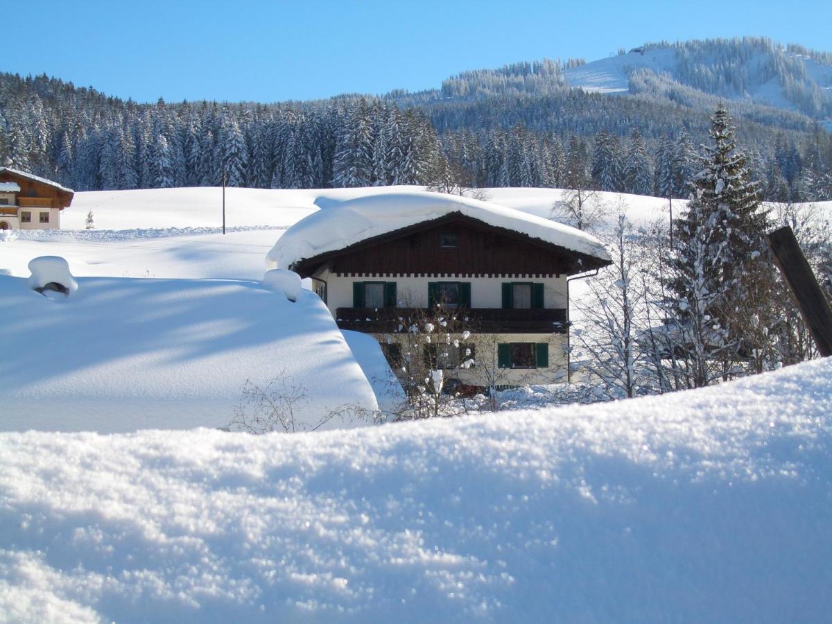 Haus Ortner Διαμέρισμα Russbach am Pass Gschutt Εξωτερικό φωτογραφία